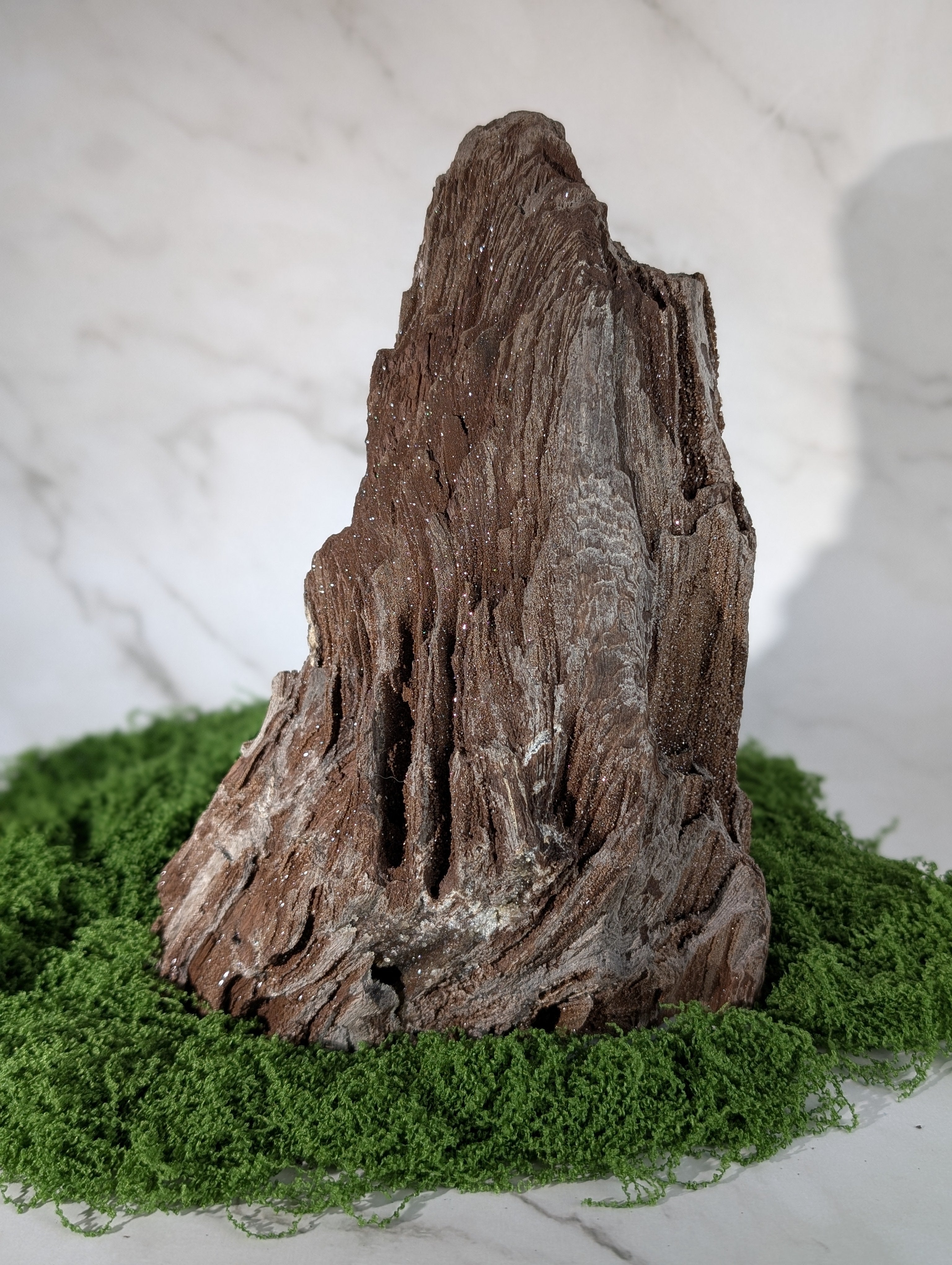 Fossiles Holz "Feenholz" 8