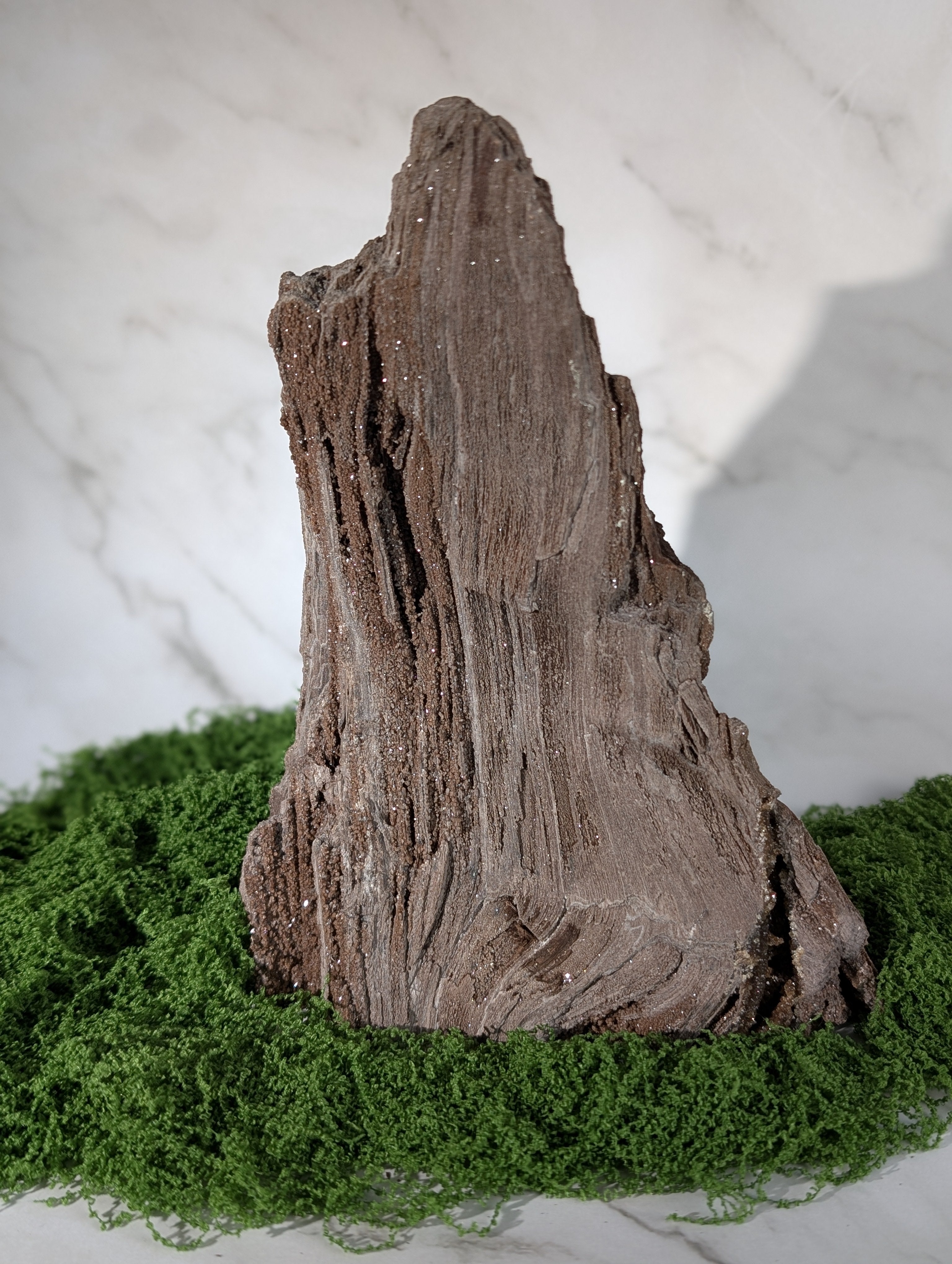 Fossiles Holz "Feenholz" 8