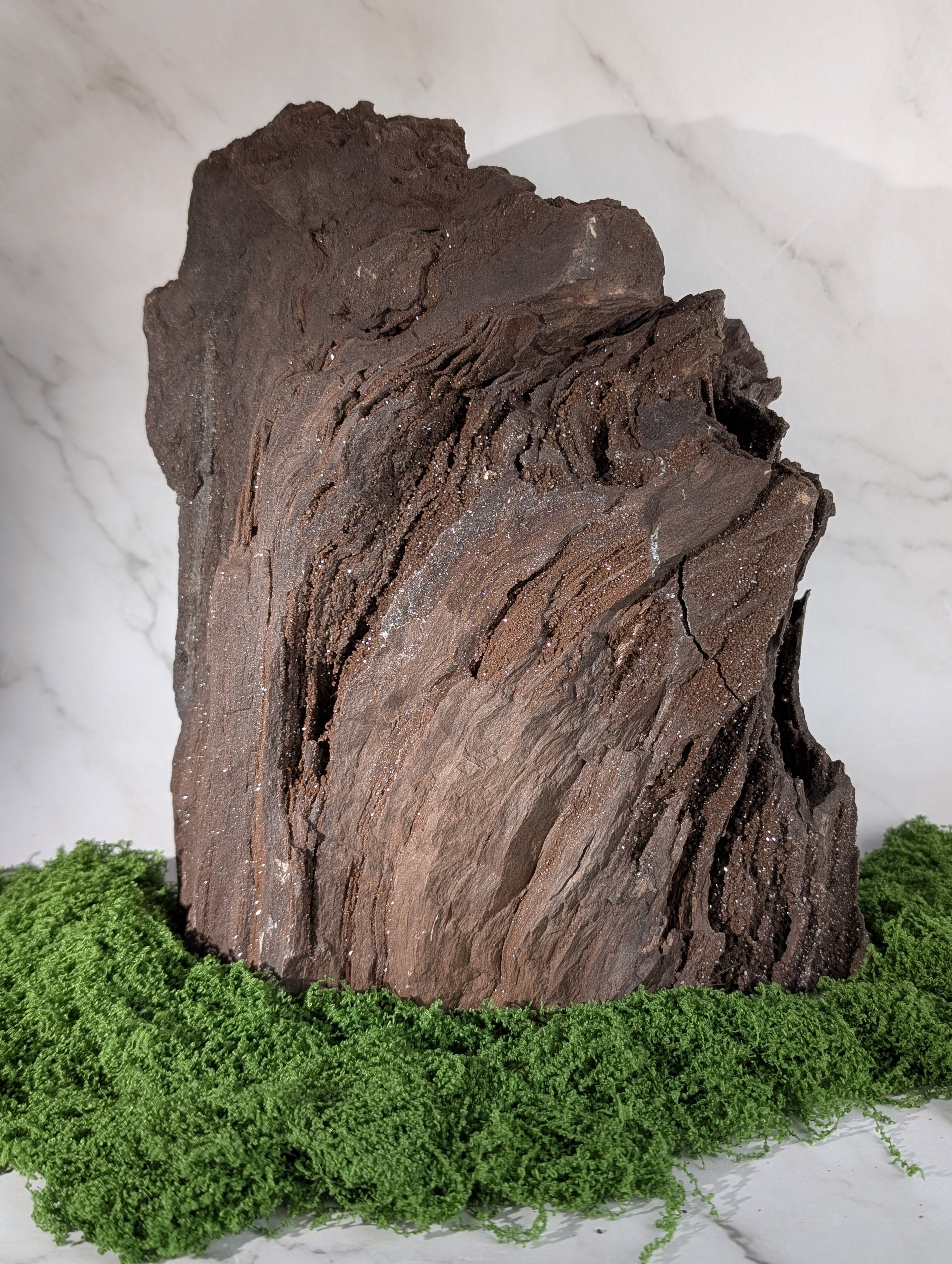 Fossiles Holz "Feenholz" XXL 1