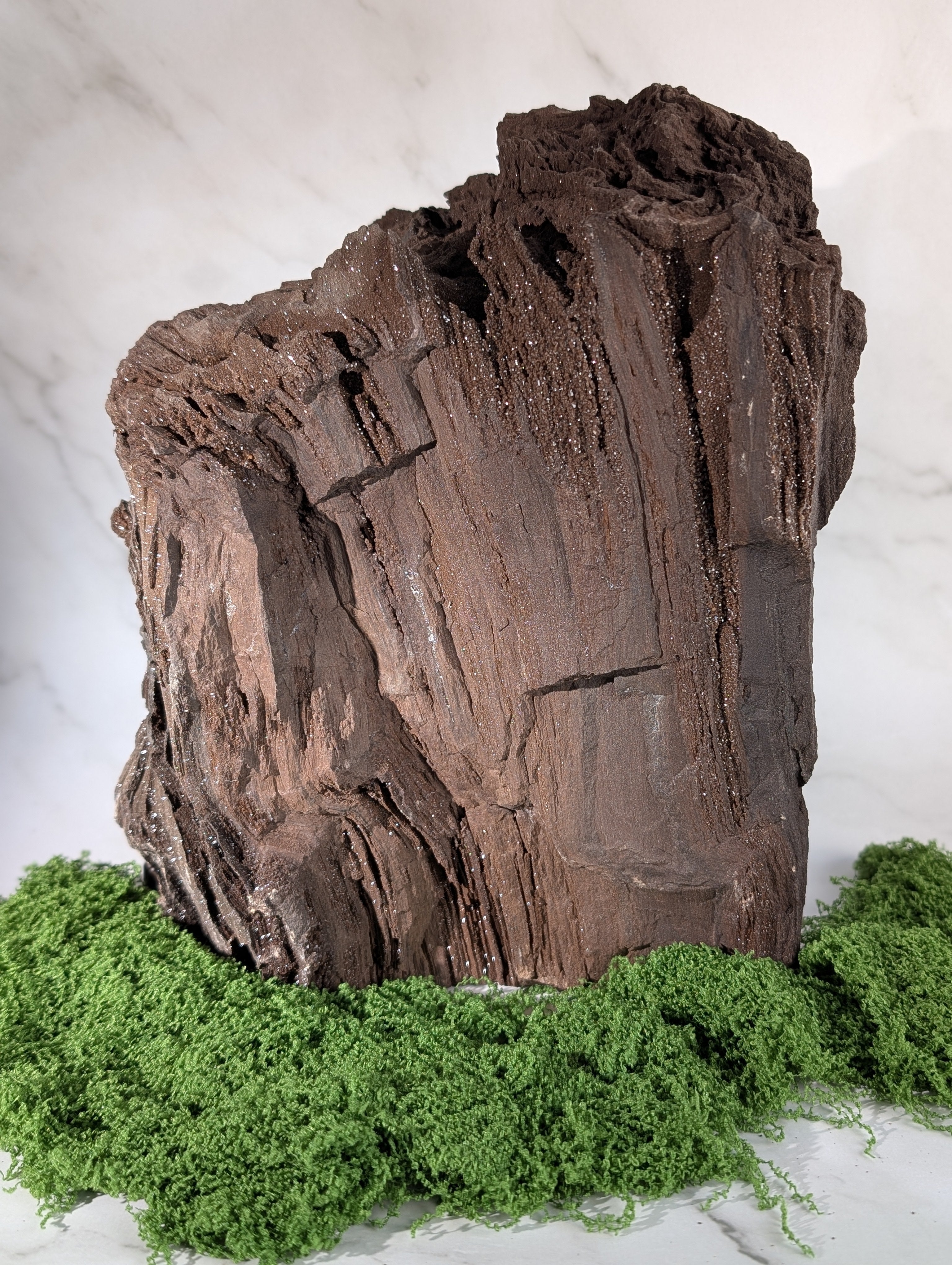 Fossiles Holz "Feenholz" XXL 1