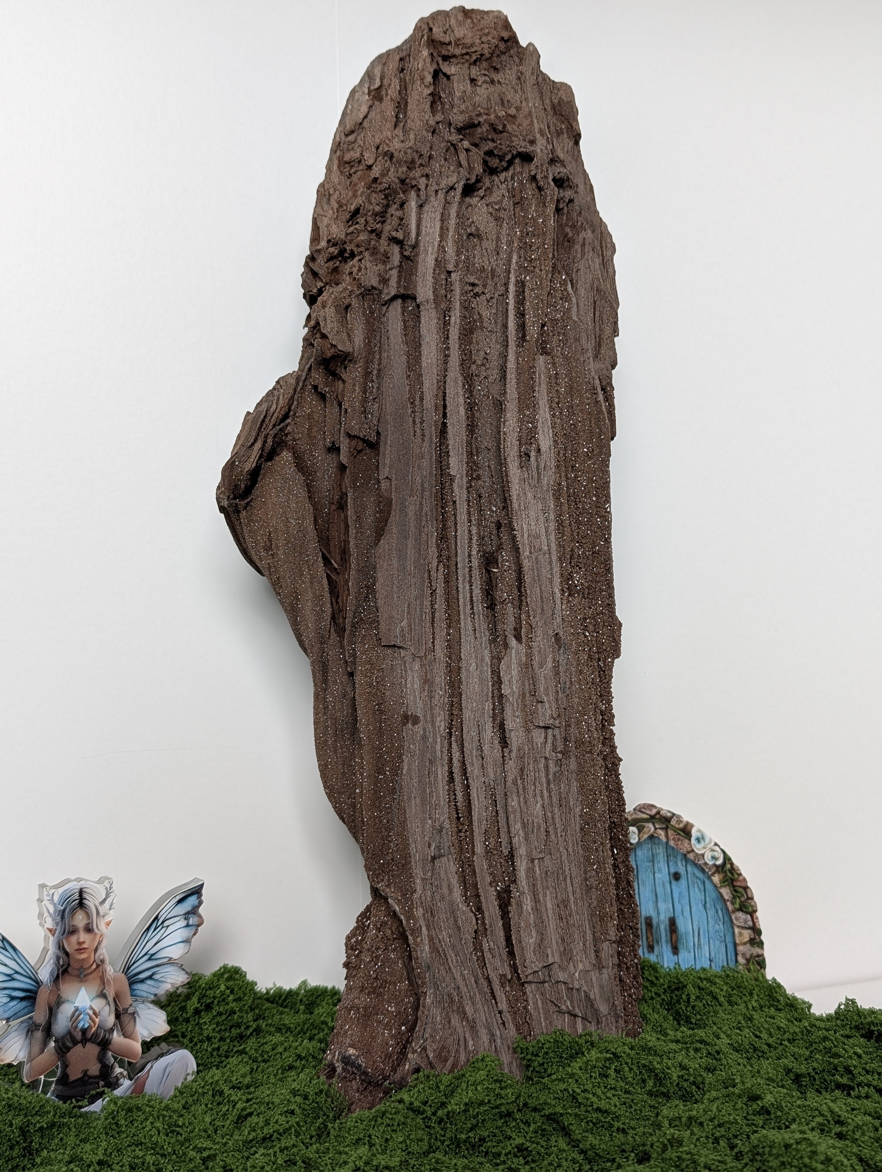 Fossiles Holz "Feenholz" XXL