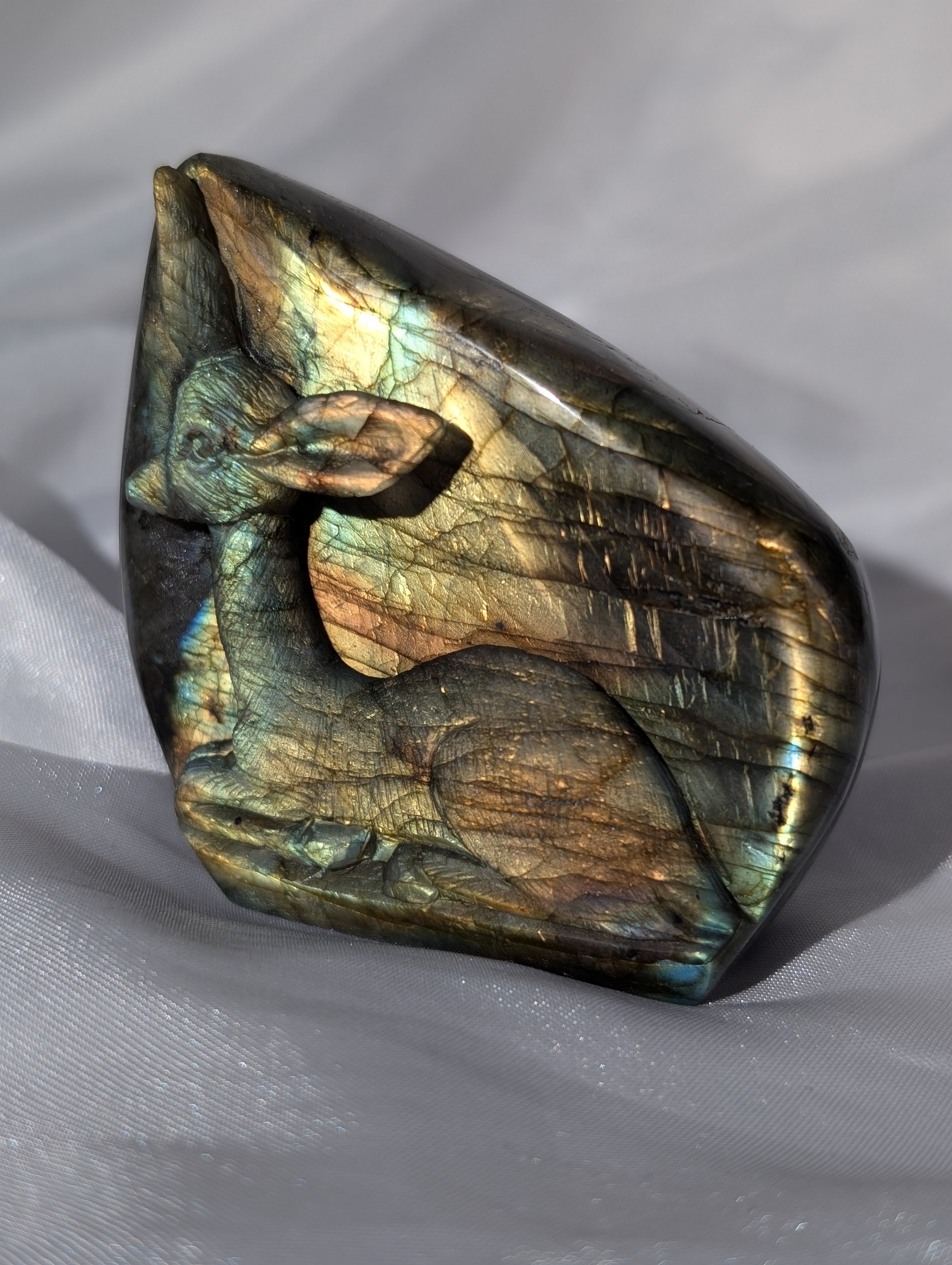 High Quality Labradorit Bambi